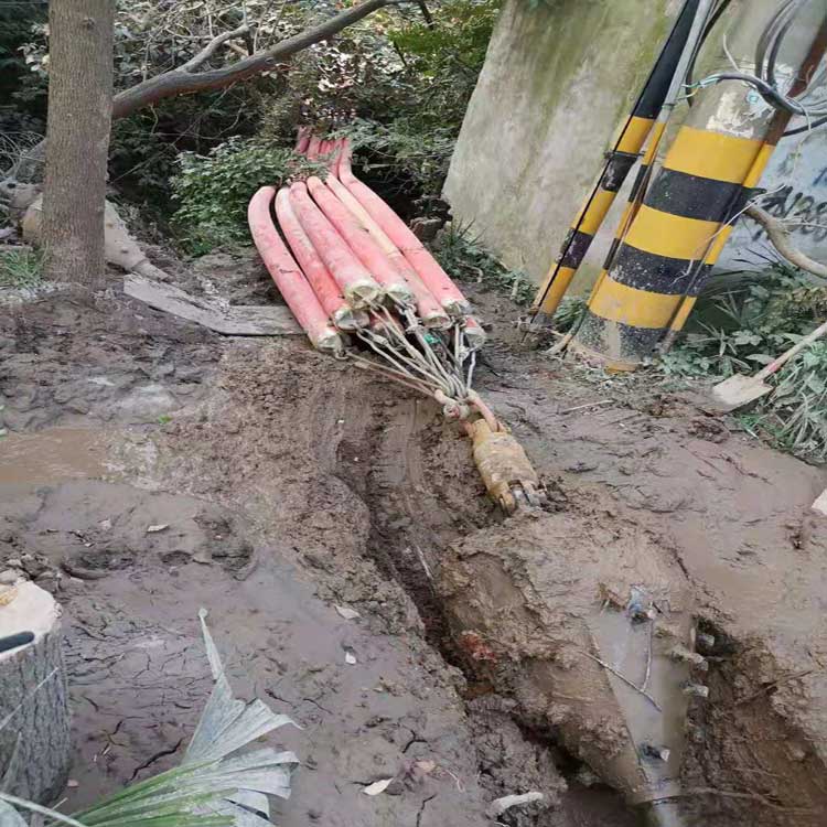 定西武汉电动拖拉管